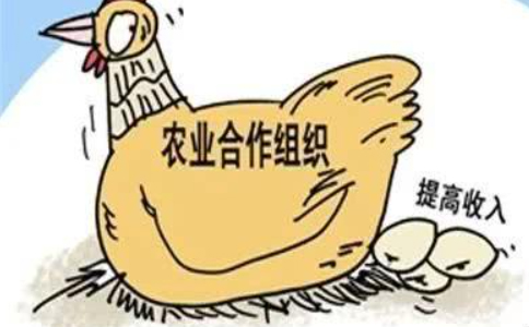 農(nóng)業(yè)農(nóng)村部關(guān)于加快發(fā)展農(nóng)業(yè)社會(huì)化服務(wù)的指導(dǎo)意見